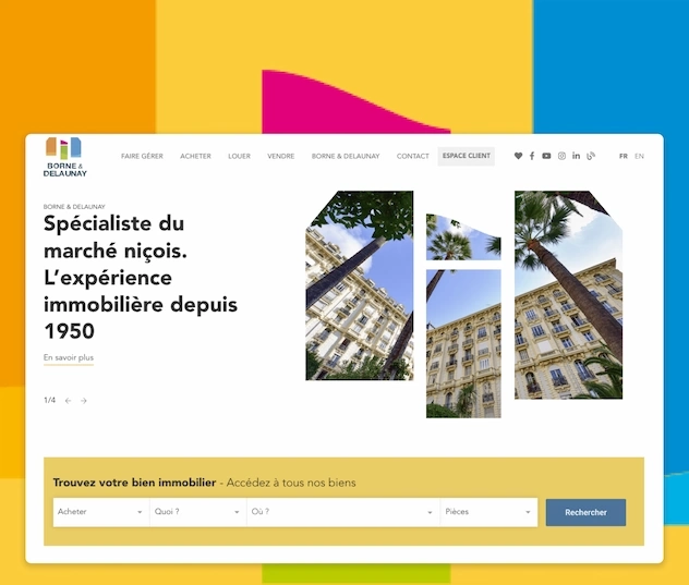 site web immobilier borne-delaunay